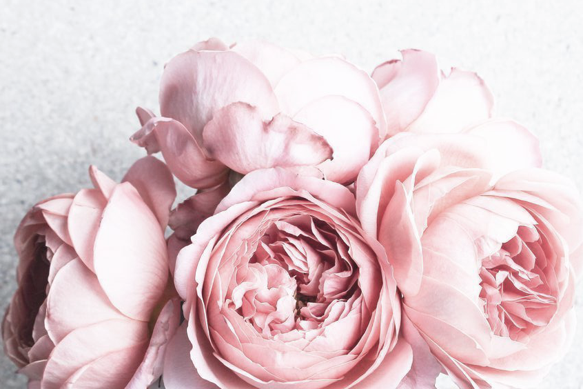 Mother's Day Gift Guide!