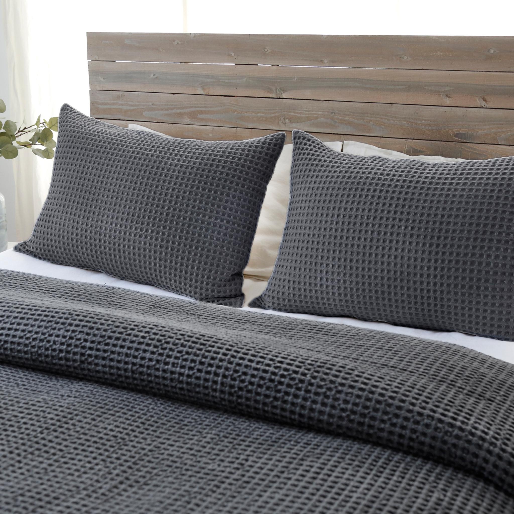 Zuma Big Pillow 28" X 36" With Insert - 3 colors