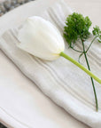 Mendocino Napkins