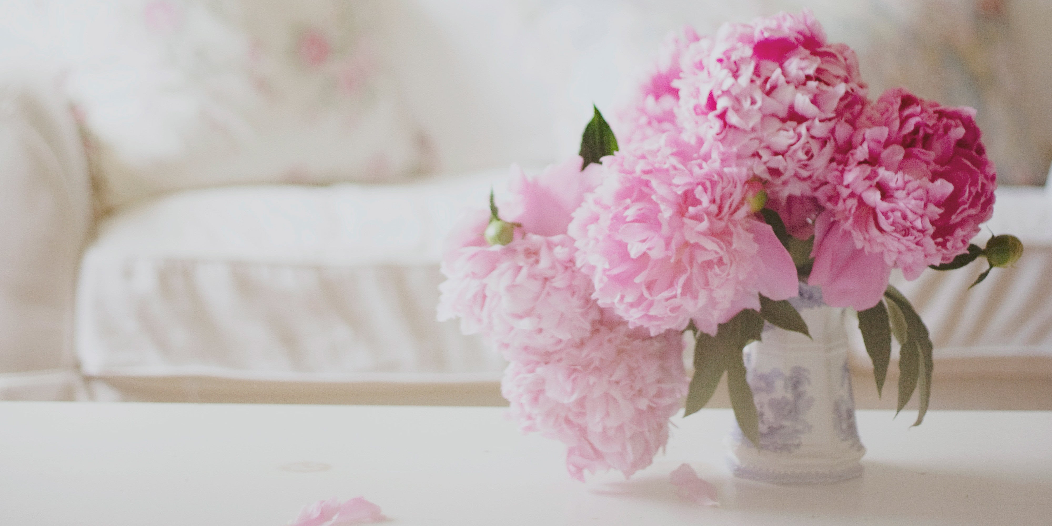 Mother's Day Gift Guide!