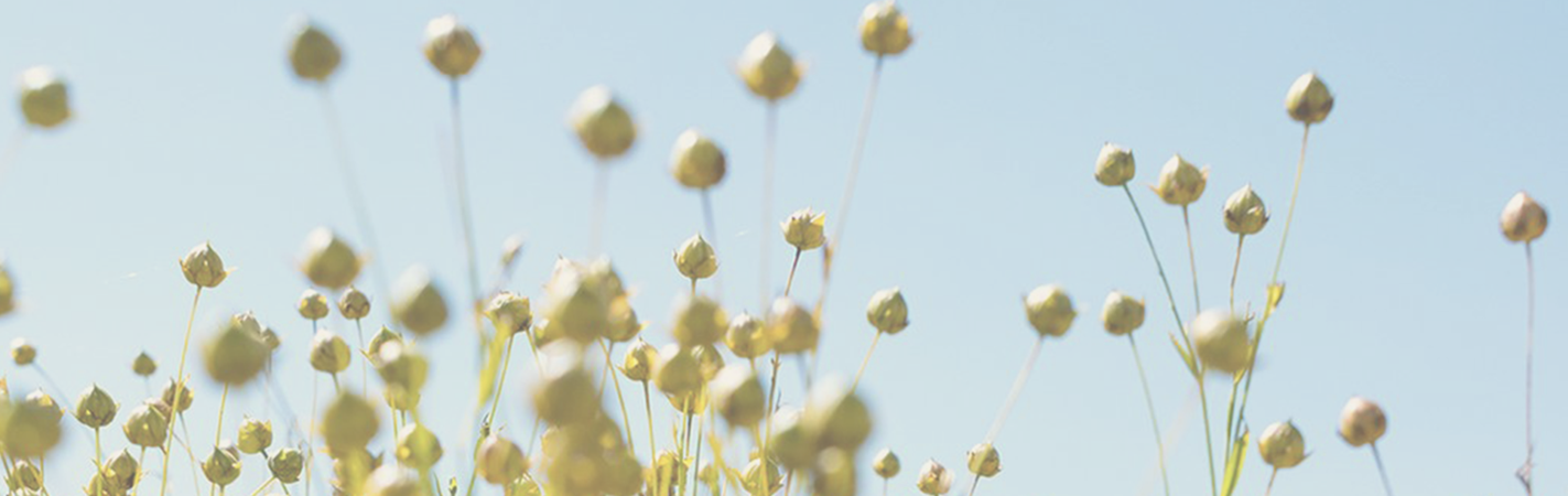 Home Decor That Celebrates Earth Day-Pom Pom at Home