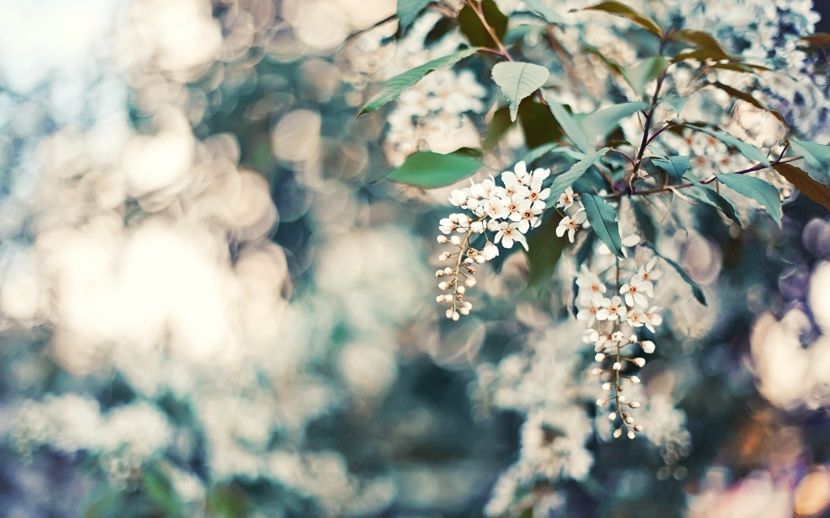 Creating Healthy Routines-Pom Pom at Home