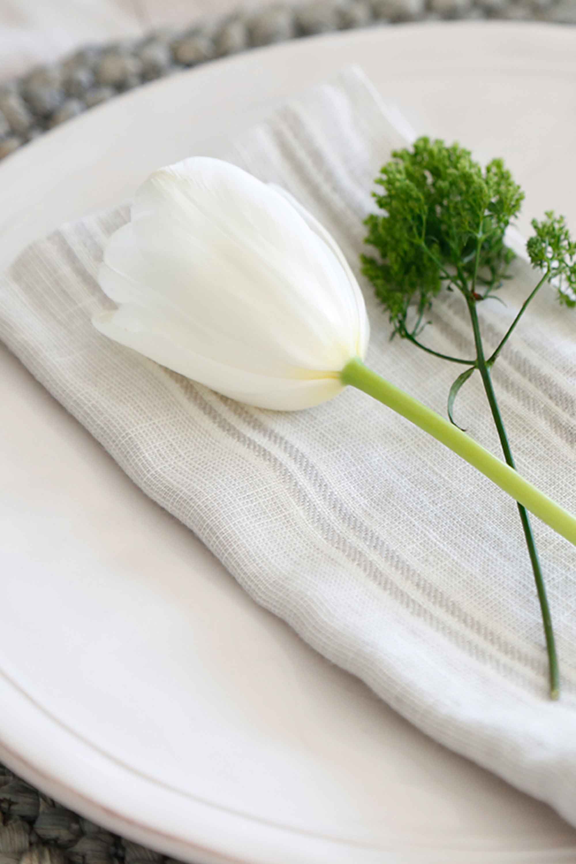 Mendocino Napkins