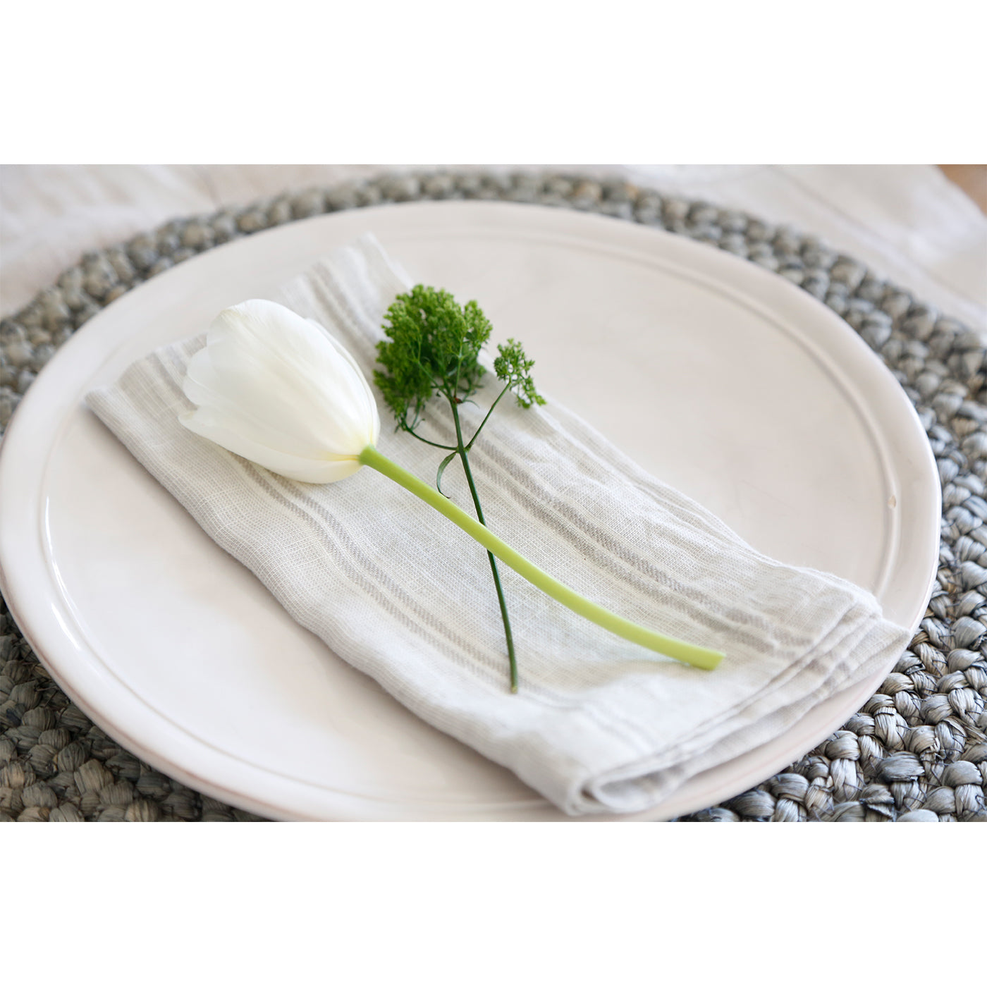 Mendocino Napkins